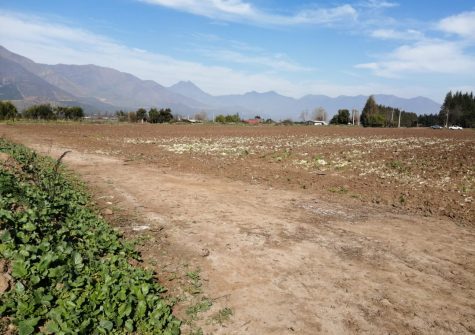 Parcela En Romeral