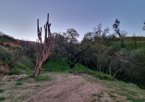 SE VENDE TERRENO SECTOR VISTA DEL VALLE CAJON DE LEBU LIMACHE